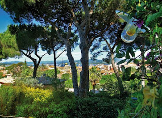 france/saint-tropez/landmark/le-tigrr-ermitage