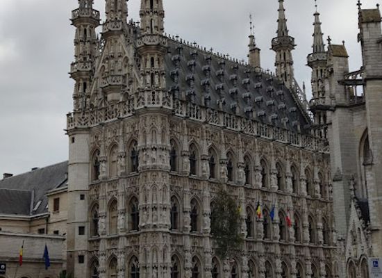 belgium/limburg/landmark/historic-leuven-town-hall
