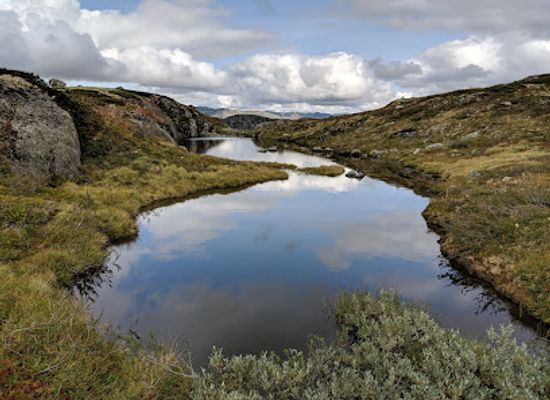 norway/hardangervidda-national-park/landmark/krossdalen-to-kjeldebu-hike