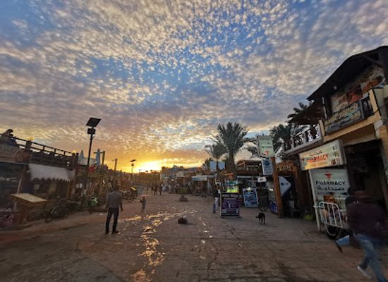 egypt/dahab/landmark/octopus-world-dahab-dive-center