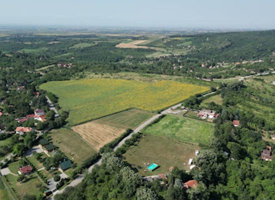 serbia/fruska-gora-national-park/landmark/camp-na-fruskoj-gori-vidmar