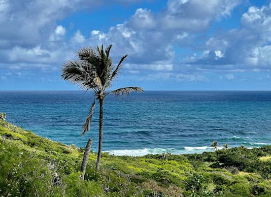 saint-kitts-and-nevis/frigate-bay/landmark/st-kitts-scenic-railway