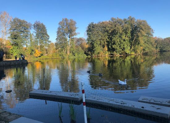 luxembourg/echternach-lake/landmark/mullerthal-trail