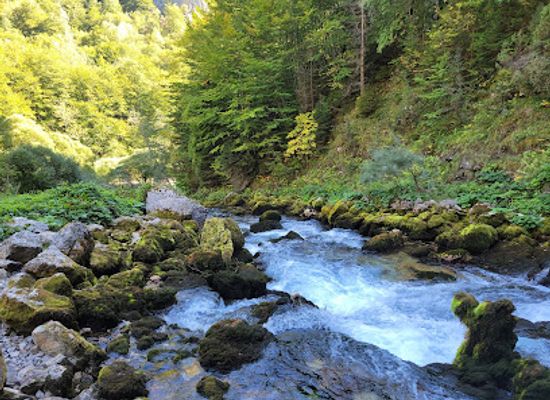 montenegro/tara-river-valley/landmark/info-rafting-tara