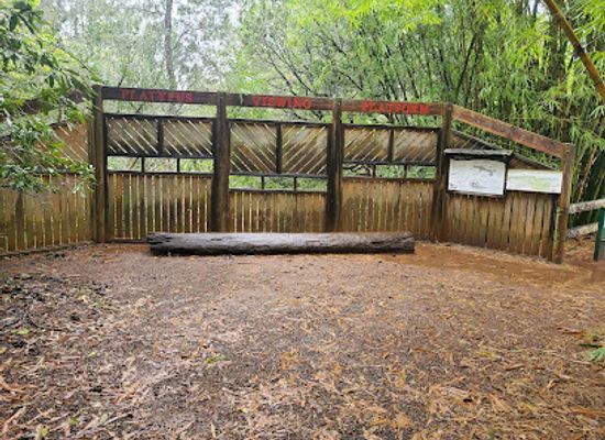 australia/atherton-tablelands/landmark/yungaburra-platypus-viewing-platform