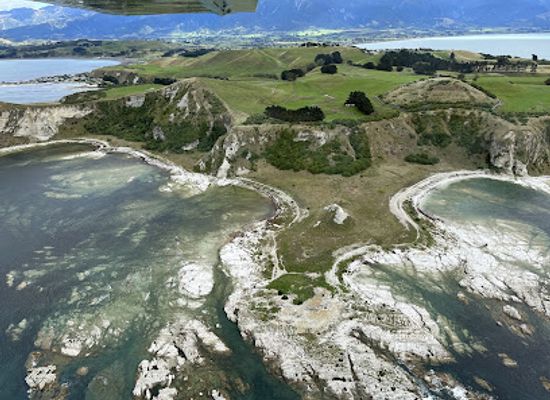 new-zealand/marlborough/landmark/wings-over-whales-kaikoura-whale-watching