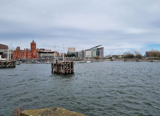 united-kingdom/cardiff/cardiff-bay/attraction/landsea-gardens-cardiff-bay-viewing-deck