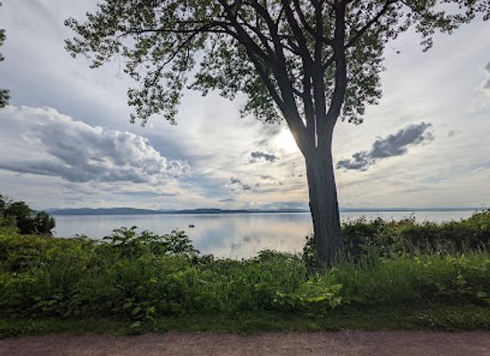 vermont/upper-valley/landmark/leddy-park