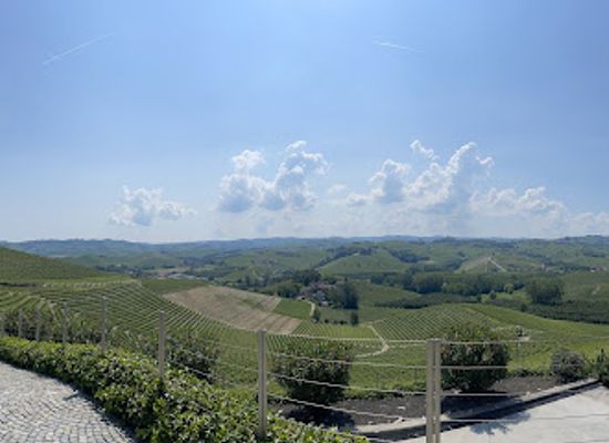 italy/roero/landmark/the-italian-trotter-your-foodie-dream-tour