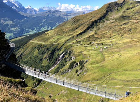 switzerland/grindelwald/landmark/paragliding-jungfrau