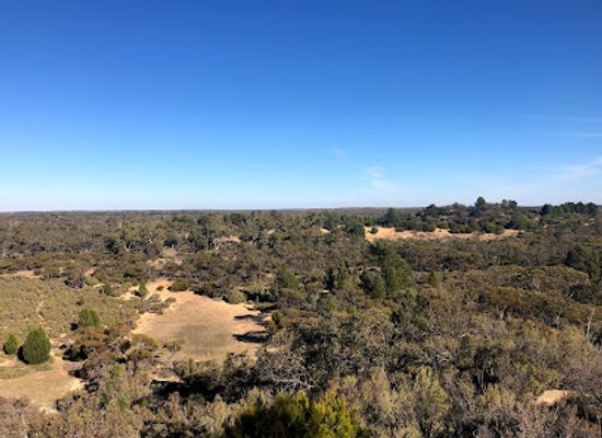 australia/mallee/landmark/wyperfeld-national-park