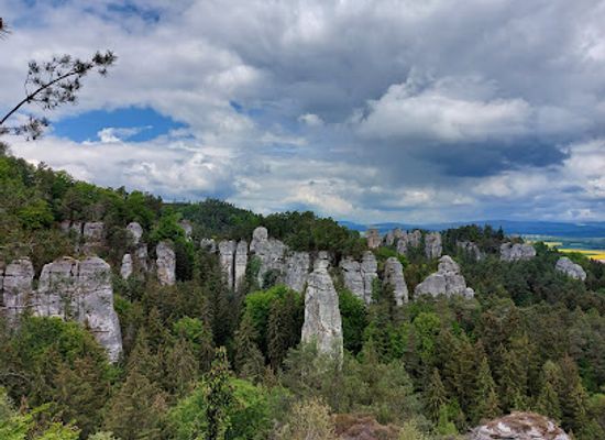 czechia/cesky-raj-bohemian-paradise/landmark/arboretum-bukovina