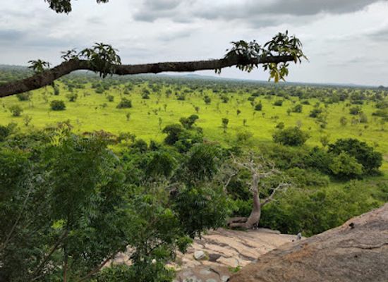 ghana/northern-region/landmark/best-ghana-tours
