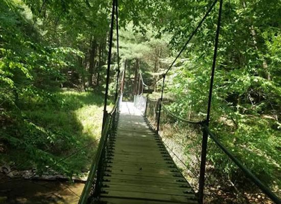 pennsylvania/allegheny-national-forest/landmark/cook-forest-state-park-office