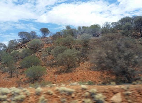 australia/macdonnell-ranges/landmark/owen-springs-reserve