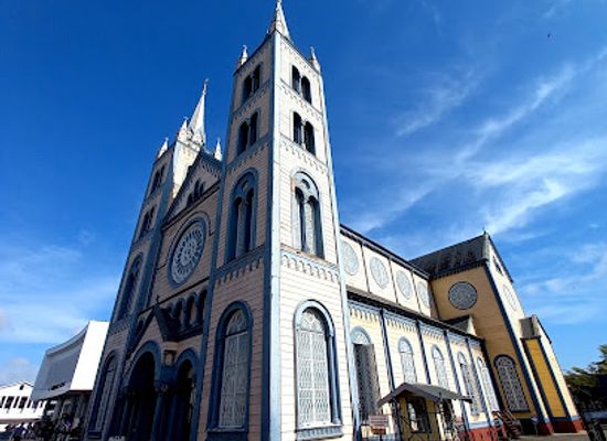 suriname/para-district/landmark/saint-peter-and-paul-basilica-of-paramaribo