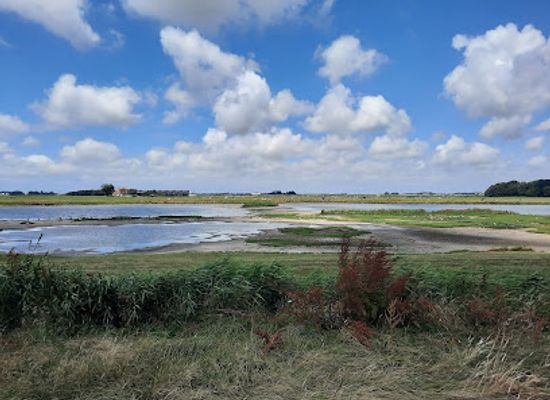 netherlands/texel-island/landmark/vogelkijkpunt-ottersaat