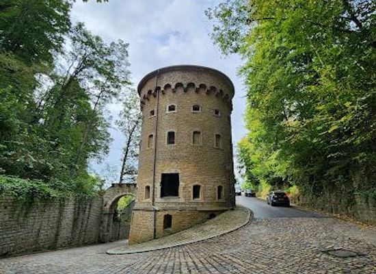 belgium/luxembourg/landmark/malakoff-tower