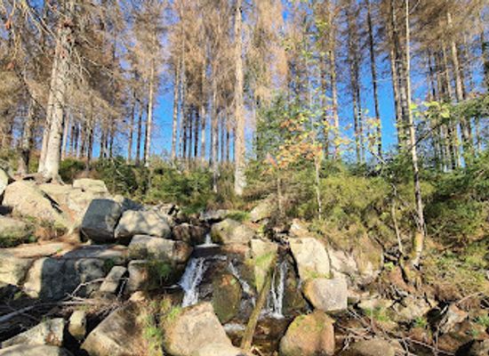 germany/harz-mountains/landmark/oberer-bodewasserfall