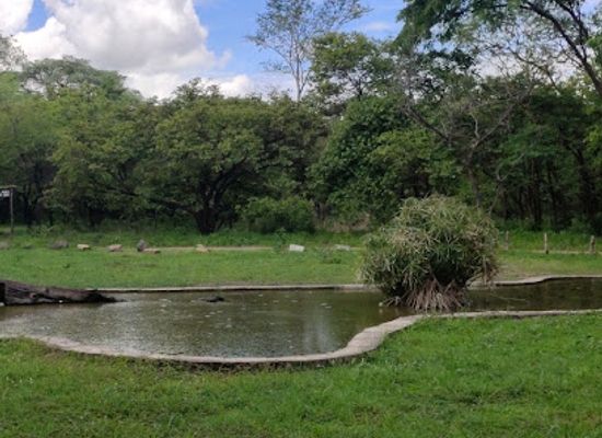 malawi/salima/landmark/kuti-wildlife-reserve-main-gate
