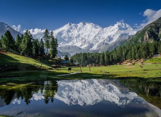 pakistan/nanga-parbat-base-camp/landmark/nanga-parbat