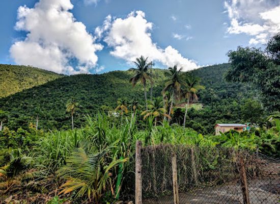 british-virgin-islands/tortola/landmark/callwood-rum-distillery