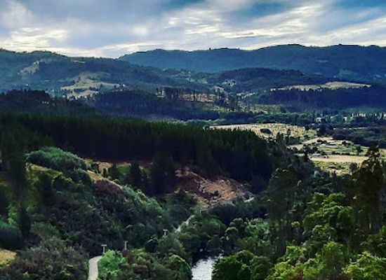 chile/araucania-region/landmark/puente-malleco