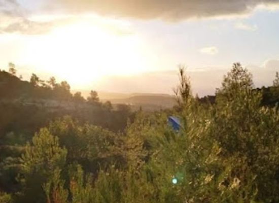 cyprus/kokkinochoria-red-soil-villages/landmark/chirokitia-eco-village