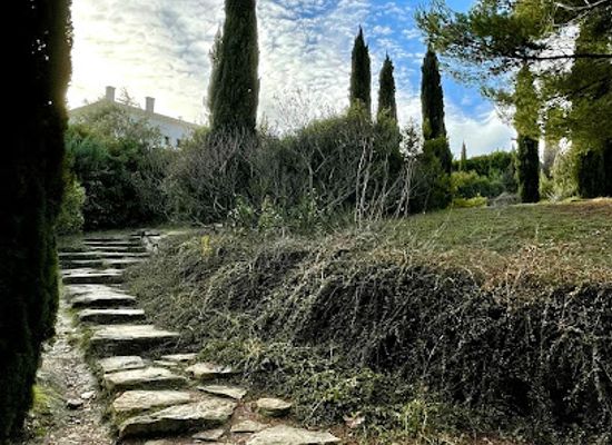 france/aix-en-provence/landmark/field-of-the-painters