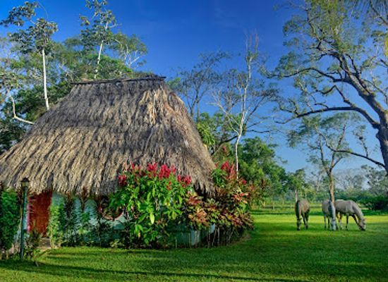 belize/orange-walk-district/landmark/banana-bank-lodge-jungle-horseback-adventures