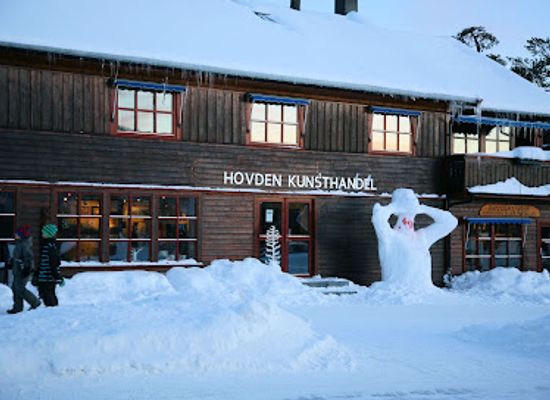 norway/hovden/landmark/hovden-kunsthandel