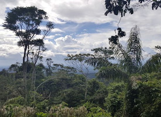 suriname/sipaliwini-district/landmark/brownsberg