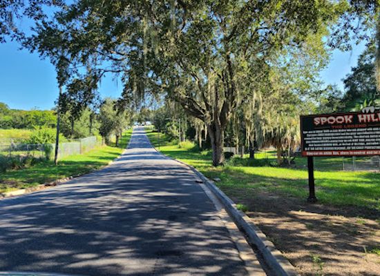 florida/north-florida/landmark/spook-hill