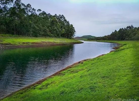 cameroon/bamenda/up-station/landmark/mile-4-park
