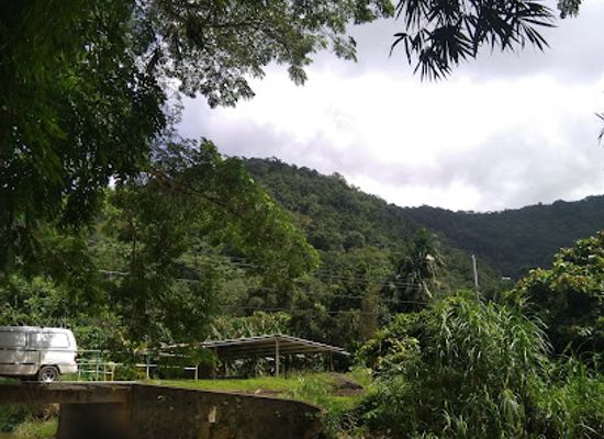trinidad-and-tobago/st-patrick/landmark/lopinot-historical-complex