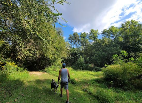 kentucky/owensboro/landmark/rudy-mines-mountain-bike-trails-at-ben-hawes-park