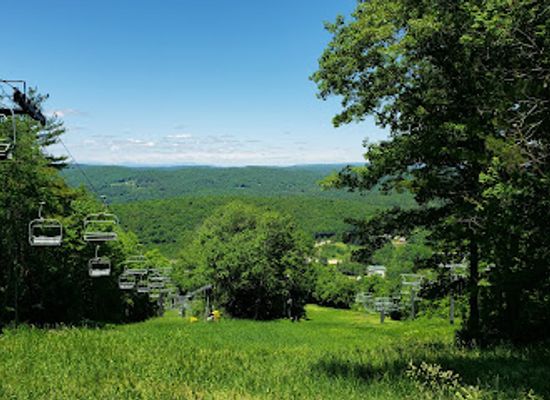 connecticut/litchfield-hills/landmark/cathedral-pines