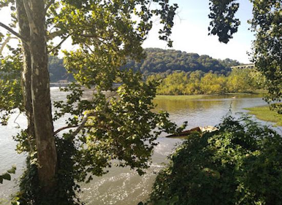 pennsylvania/allegheny-national-forest/landmark/allegheny-islands-state-park