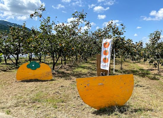 japan/chikugo/landmark/migita-orchard