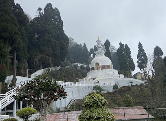 india/siliguri/landmark/discovery-tourism
