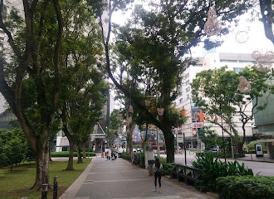 singapore/singapore/orchard-road/landmark/penang-road-open-space