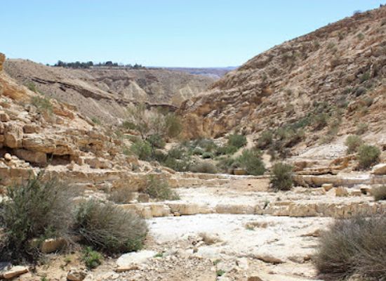 israel/negev/landmark/visiting-negev-local-guide-to-the-negev