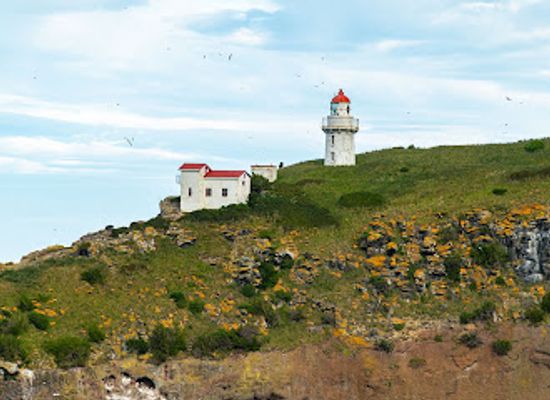 new-zealand/dunedin/landmark/fort-taiaroa