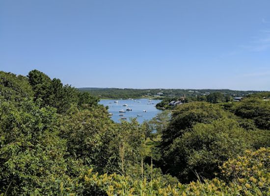 massachusetts/martha-s-vineyard/landmark/manuel-f-correllus-state-forest