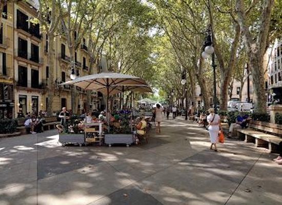 spain/palma-de-mallorca/landmark/passeig-del-born