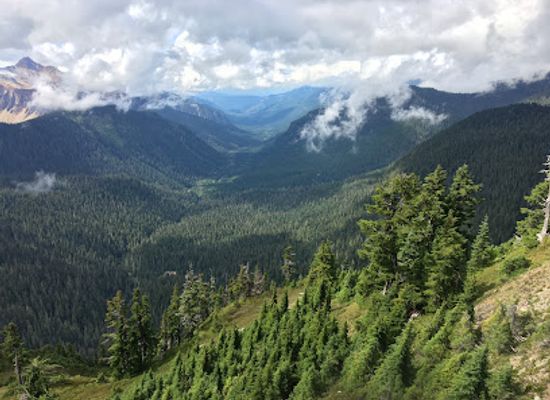 washington/mount-baker-snoqualmie-national-forest/landmark/mt-baker-national-recreation-area