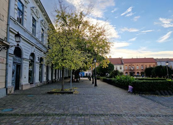 hungary/vac/landmark/tragor-ignac-muzeum-memento-mori-ars-memorandi-kiallitohely
