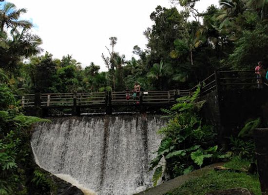 puerto-rico/yunque-national-forest/landmark/torre-mount-britton-trailhead