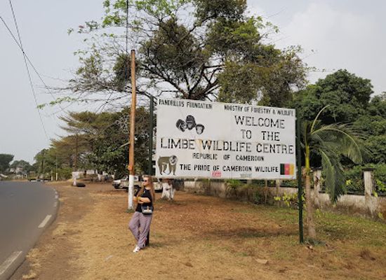 cameroon/centre-region/landmark/limbe-wildlife-centre