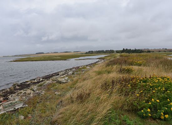 denmark/limfjord/attraction/agero